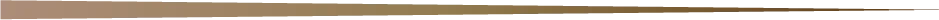 Decorative Line